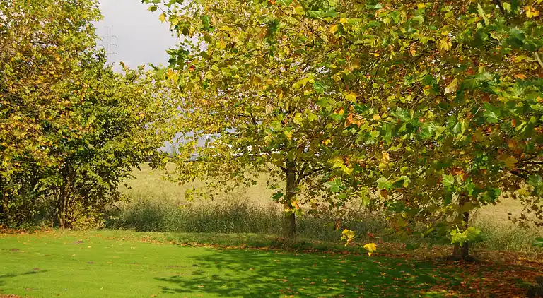 Holiday home in Bornem