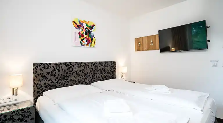 Apartment in Zell am See