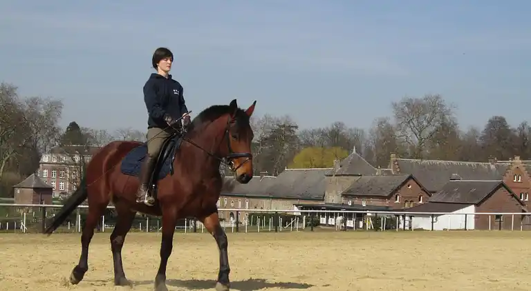 Holiday home in Gembloux
