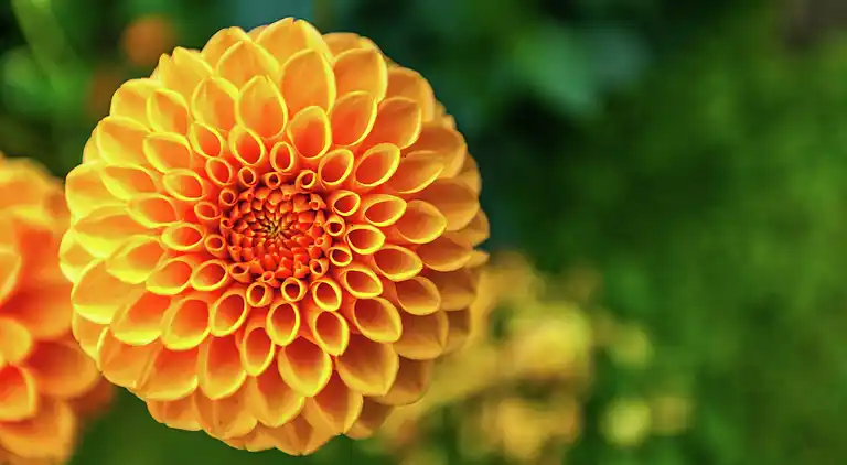 Holiday home in Longvilly