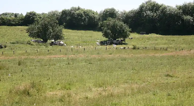 Holiday home in Noville