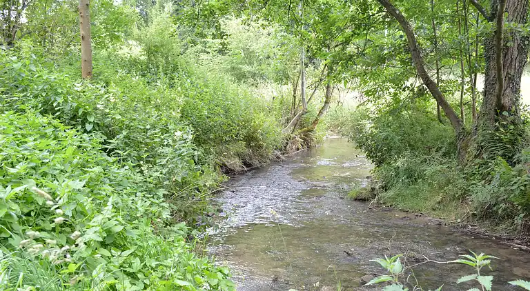 Holiday home in Beauraing