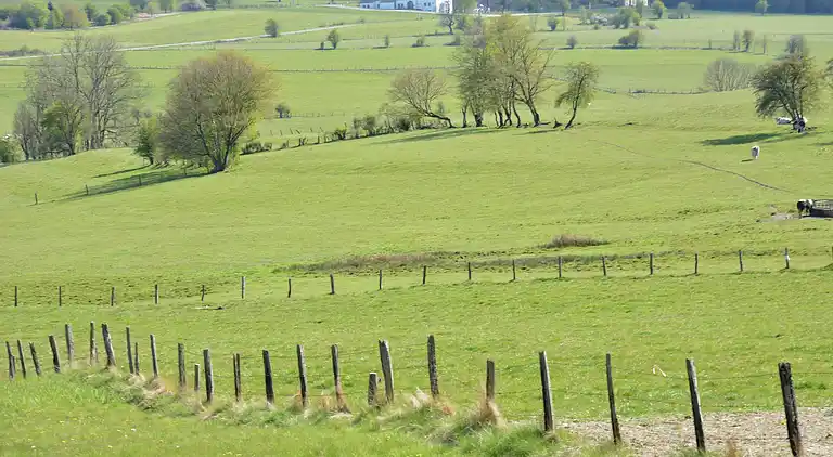 Holiday home in Beauraing