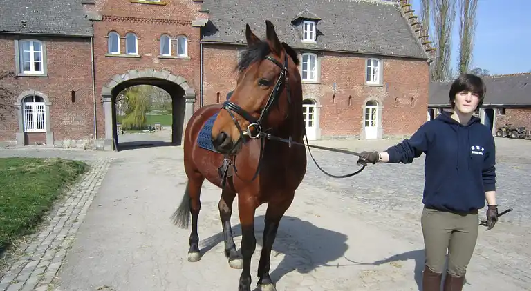 Holiday home in Gembloux