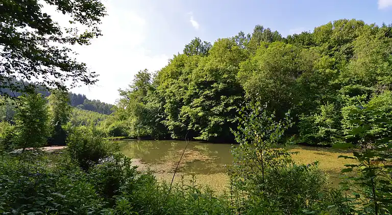 Sommerhus i Noirefontaine