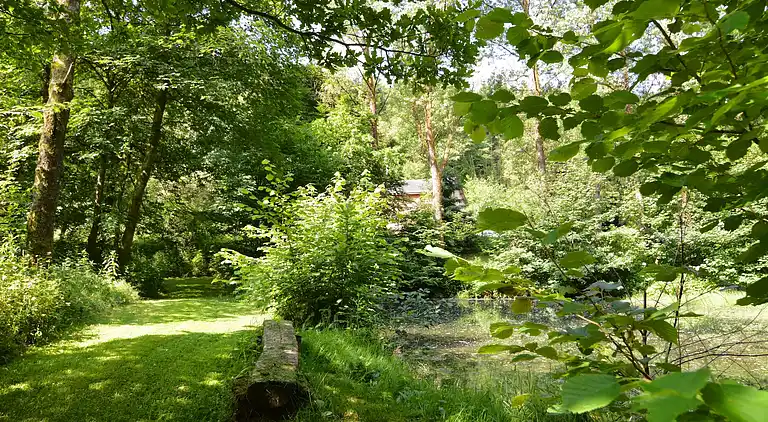 Sommerhus i Noirefontaine