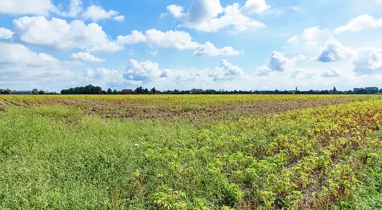 Holiday home in Bizet