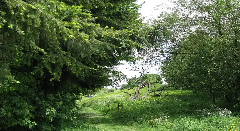 Holiday home in Mastershausen