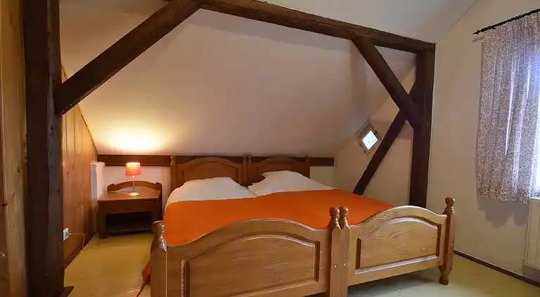 Apartment in Zlatá Olešnice