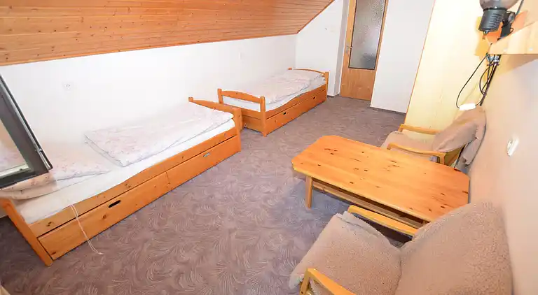 Holiday home in Pocinovice