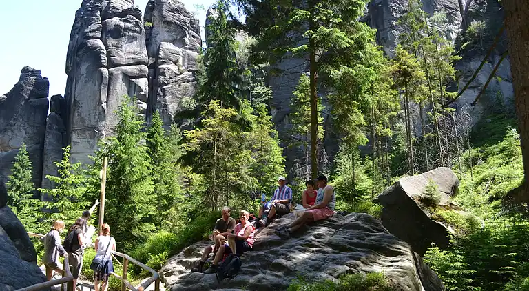 Apartment in Božanov