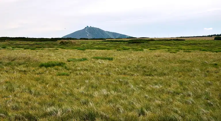 Ferielejlighed i Rokytno