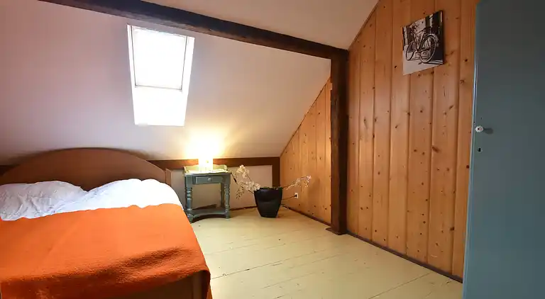 Apartment in Zlatá Olešnice