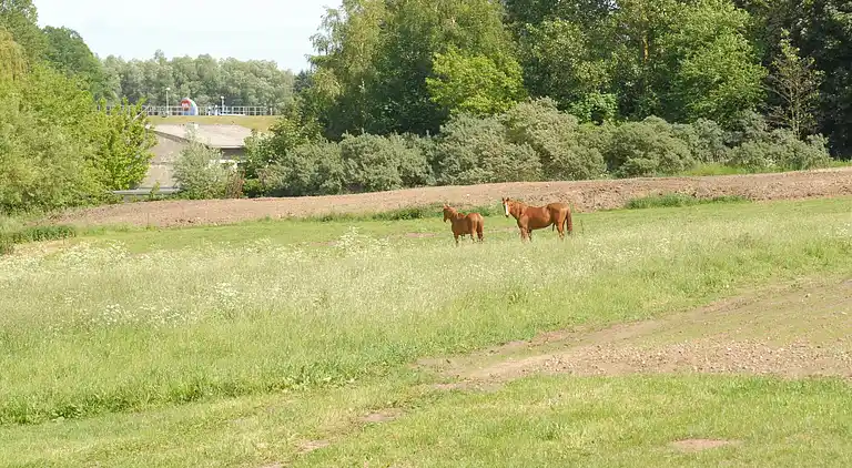 Sommerhus i Alt Farpen