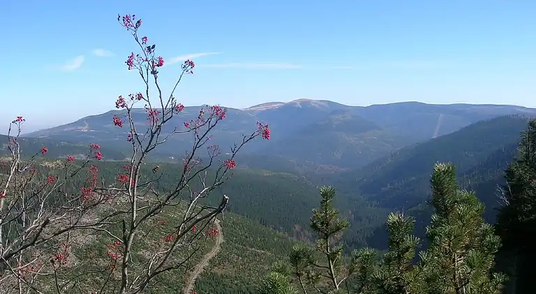Holiday home in Javorník