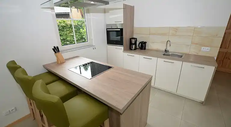 Holiday home in Janův Důl