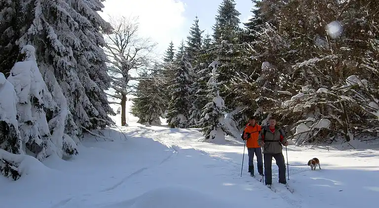 Ferielejlighed i Božanov