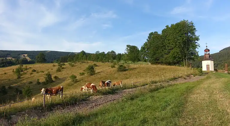 Ferielejlighed i Rokytno