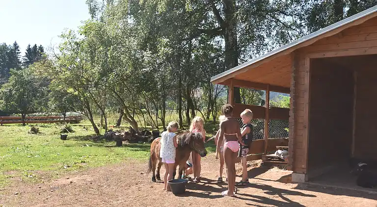 Ferielejlighed i Božanov