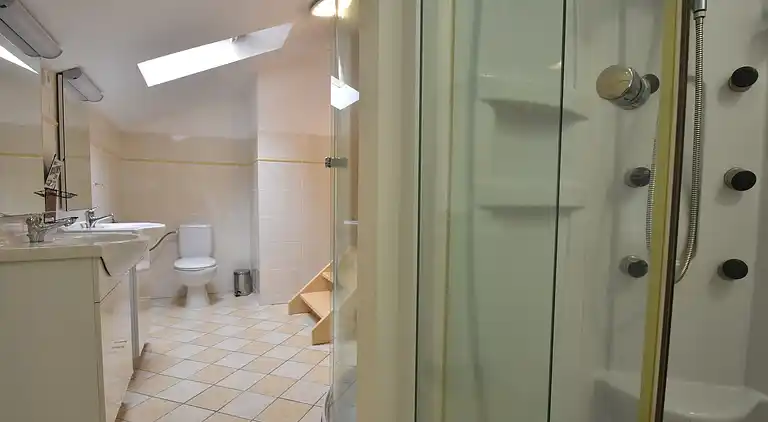 Apartment in Zlatá Olešnice