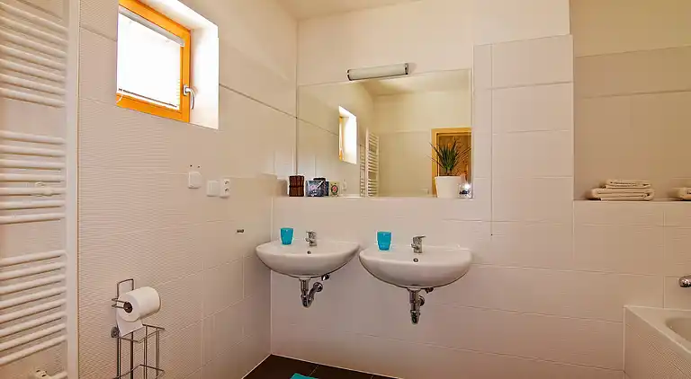 Holiday home in Harrachov