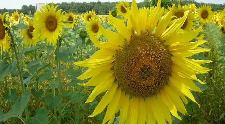 Holiday home in Roztoky u Jilemnice