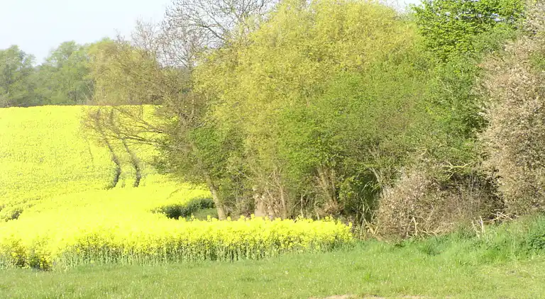 Holiday home in Satow