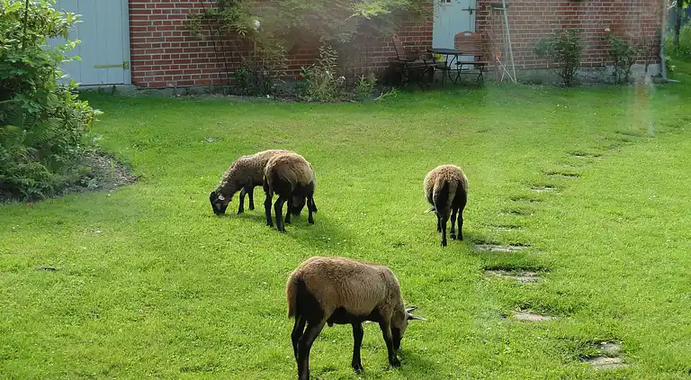 Ferielejlighed i Boiensdorf