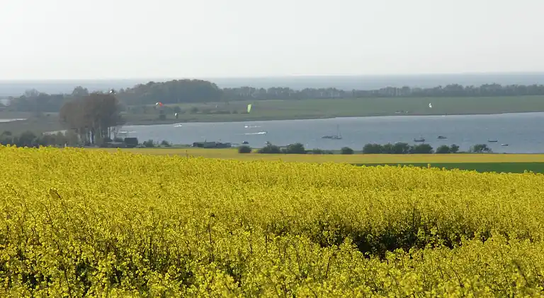 Apartment in Pepelow