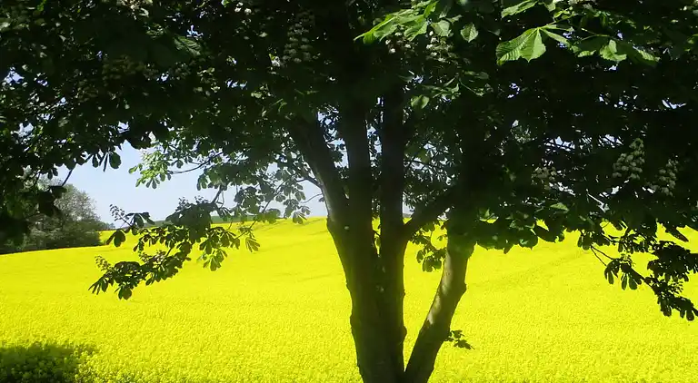 Apartment in Kröpelin