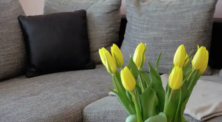 Apartment in Pepelow