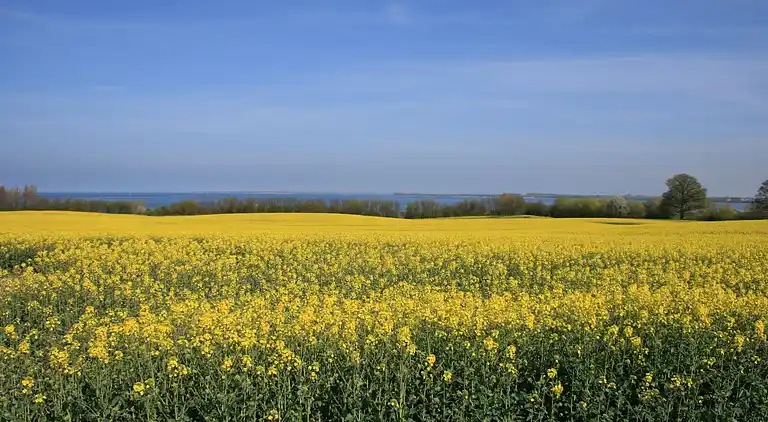 Lägenhet i Niederklutz