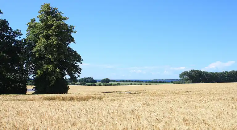 Farm house in Boiensdorf