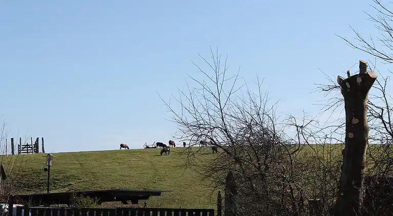 Manor house in Kägsdorf