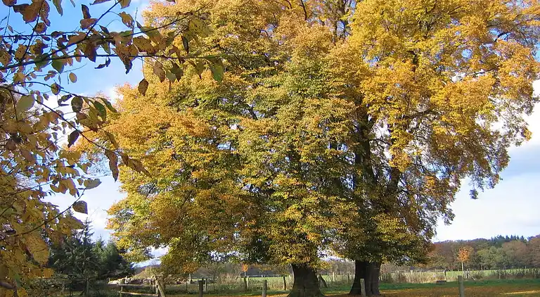 Ferielejlighed i Eixen