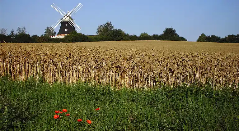 Ferielejlighed i Niederklutz