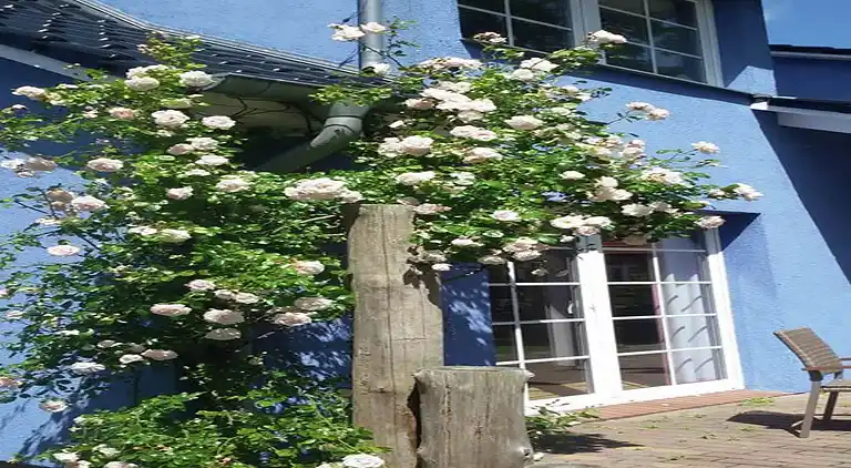 Apartment in Pruchten