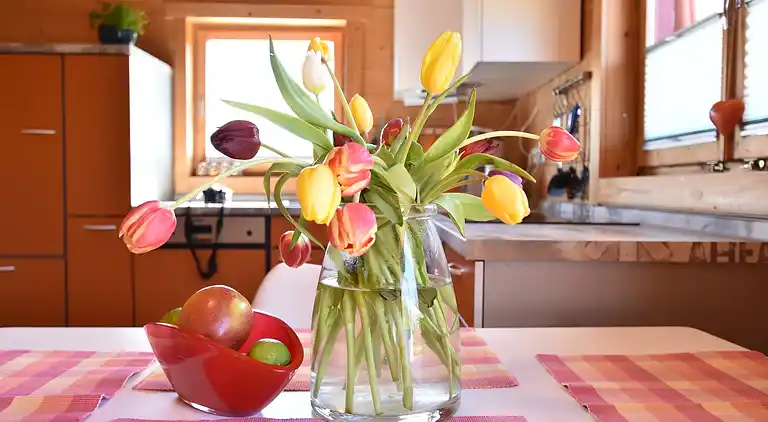 Holiday home in Carinerland