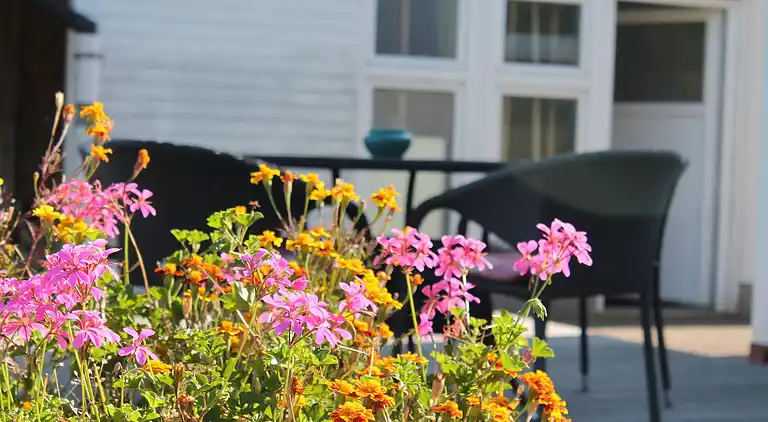 Apartment in Kühlungsborn