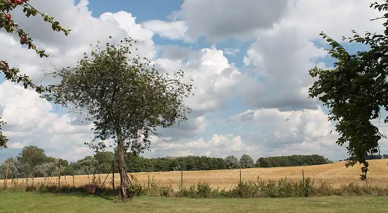 Apartment in Pepelow