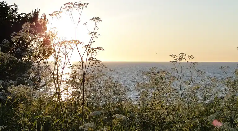 Ferielejlighed i Boiensdorf