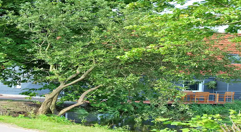 Sommerhus i Beiershagen