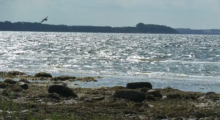 Holiday home in Malchow