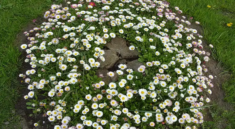 Apartment in Kröpelin