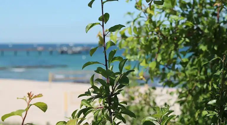 Ferielejlighed i Kröpelin