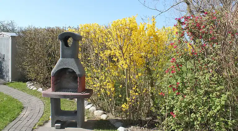 Apartment in Nienhagen