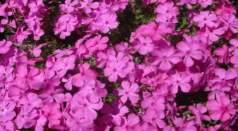 Apartment in Kröpelin