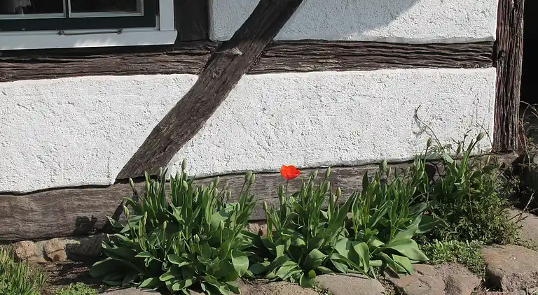 Ferielejlighed i Reddelich