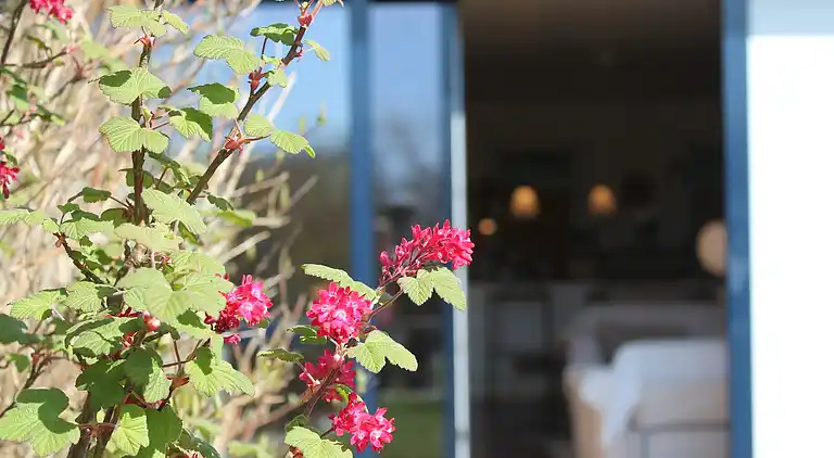 Apartment in Nienhagen