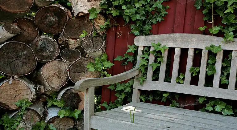 Holiday home in Ahrenshoop